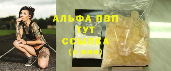 спиды Новозыбков