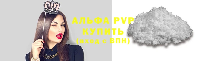 спиды Новозыбков