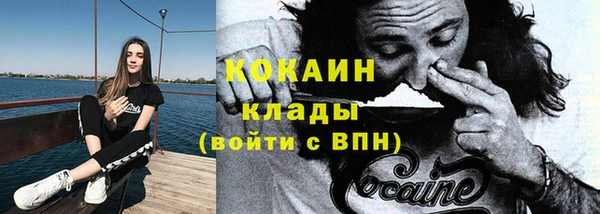 спиды Новозыбков