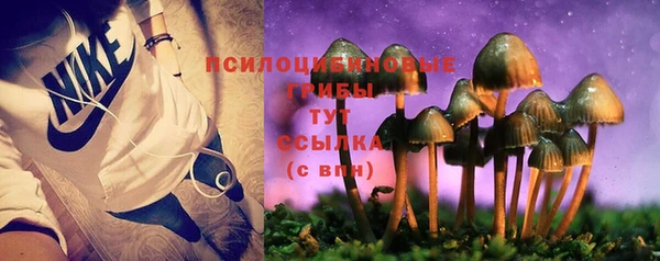 амф Валуйки