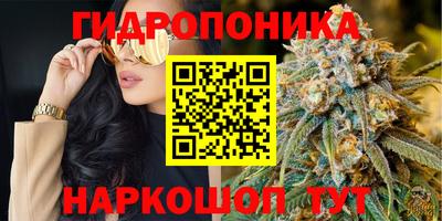 ГАЛЛЮЦИНОГЕННЫЕ ГРИБЫ Ирбит