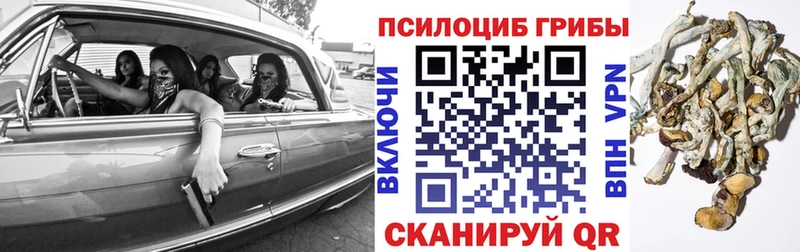 Галлюциногенные грибы Psilocybine cubensis  Тверь 