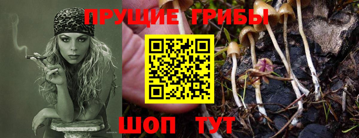 Галлюциногенные грибы Magic Shrooms  Вход с VPN  Псилоцибиновые грибы Magic Shrooms  Тверь 